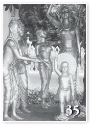 ����͸��� 