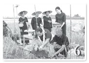 �ͺ���Ƿ��ê�ҧ 